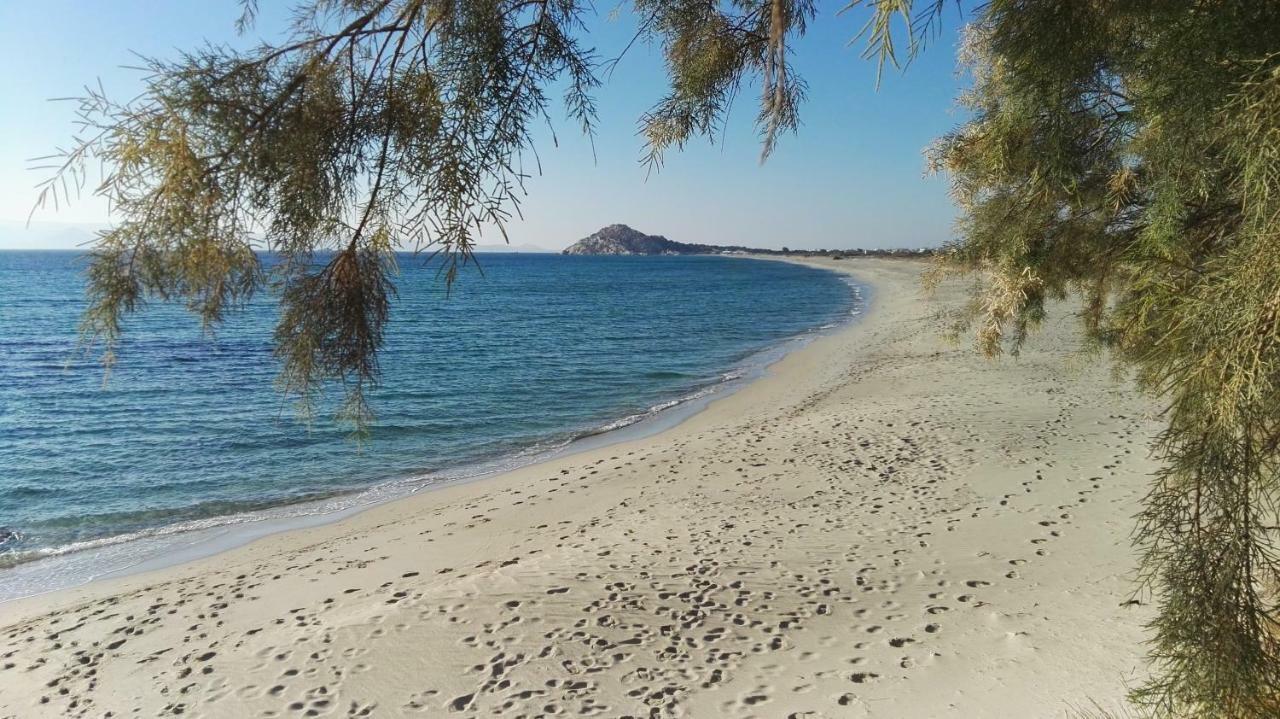 Апартаменти Naxos Is The Way Kastraki  Екстер'єр фото